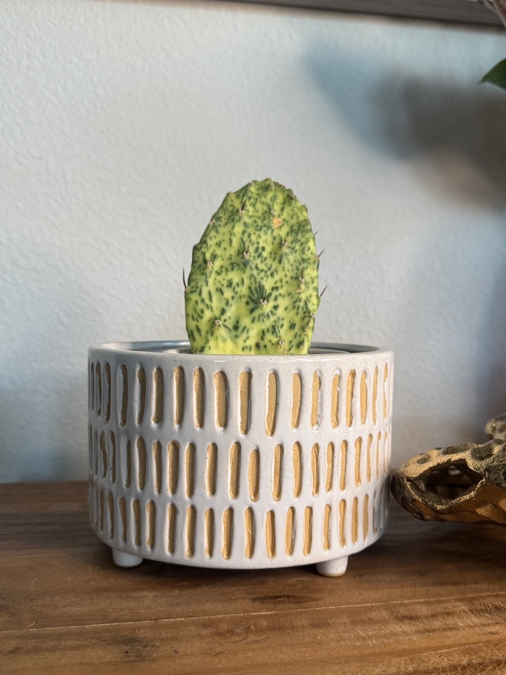 Ceramic White and Tan 6” Textured Planter